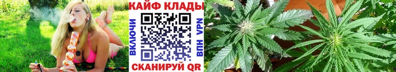 Где купить наркотики Фрязино Cocaine Мефедрон Каннабис