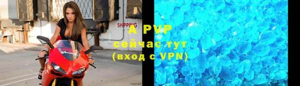 бошки Ладушкин