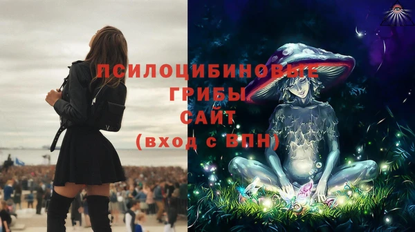 индика Уссурийск