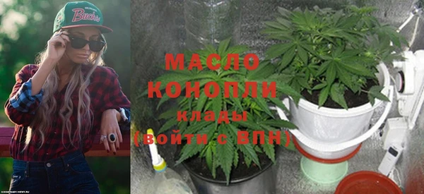 бошки Ладушкин