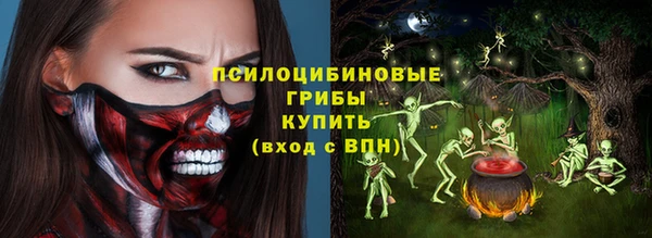 бошки Ладушкин