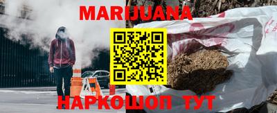 сатива Бузулук