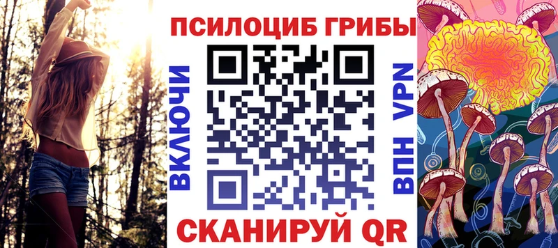 Псилоцибиновые грибы ЛСД  кракен вход  дарк нет Telegram  Фрязино 