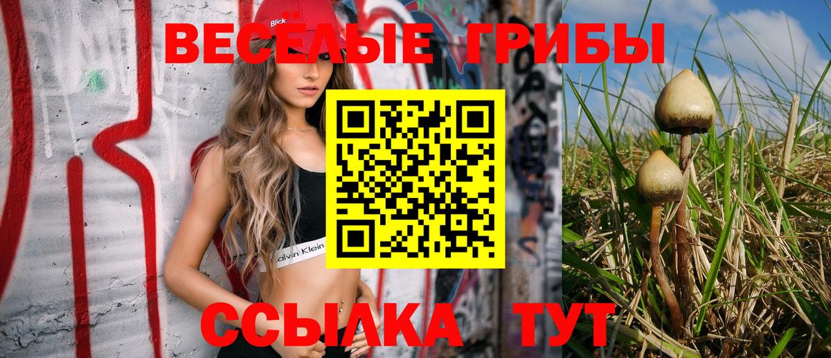 Псилоцибиновые грибы MAGIC MUSHROOMS  Фрязино 