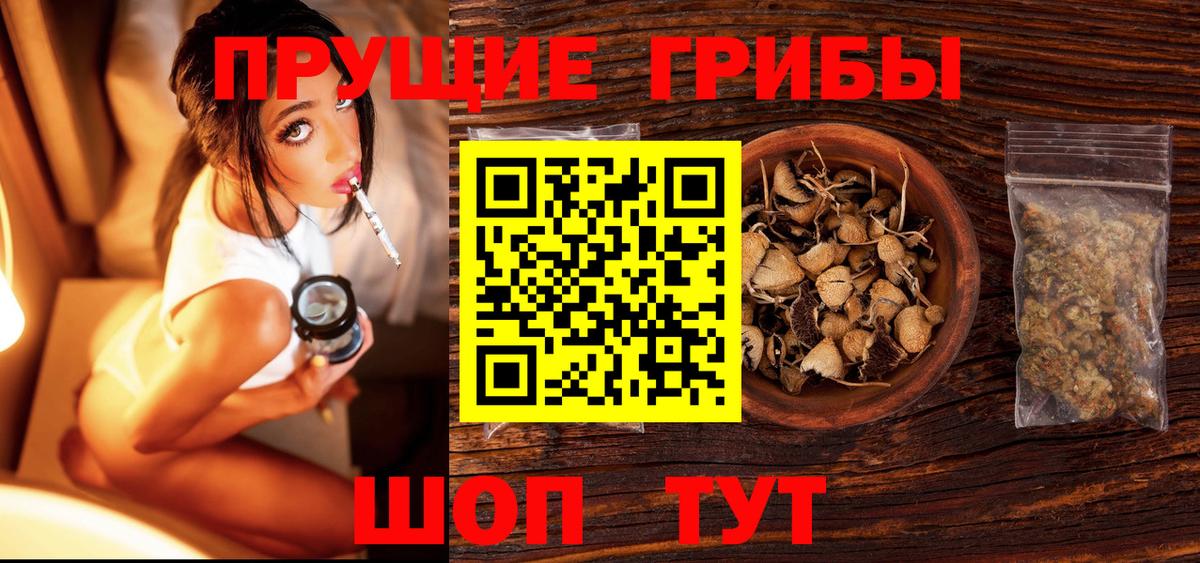 Фрязино  Галлюциногенные грибы GOLDEN TEACHER  Вход с VPN 